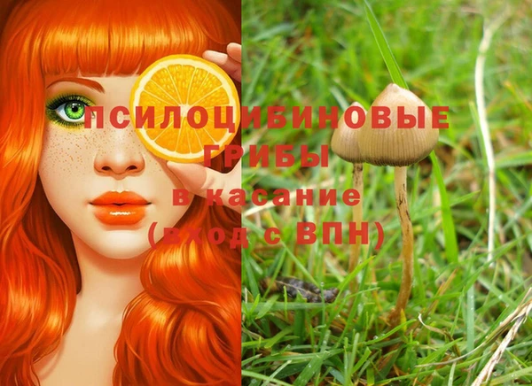 марки nbome Белокуриха
