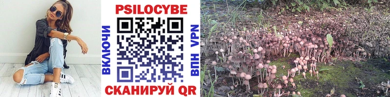 Псилоцибиновые грибы ЛСД  Малая Вишера 