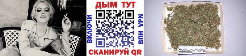 даркнет официальный сайт  Малая Вишера  Конопля ГИДРОПОН 